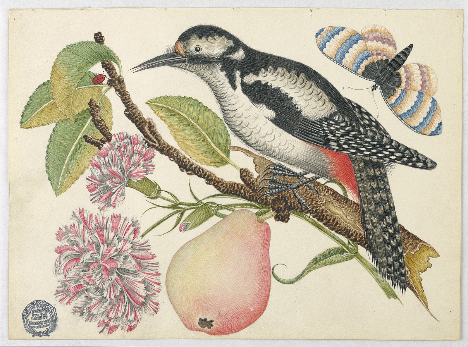 18th Century 1600px-Drawing,_Bird,_Butterfly,_and_Pear,_18th_century_(CH_18299405)