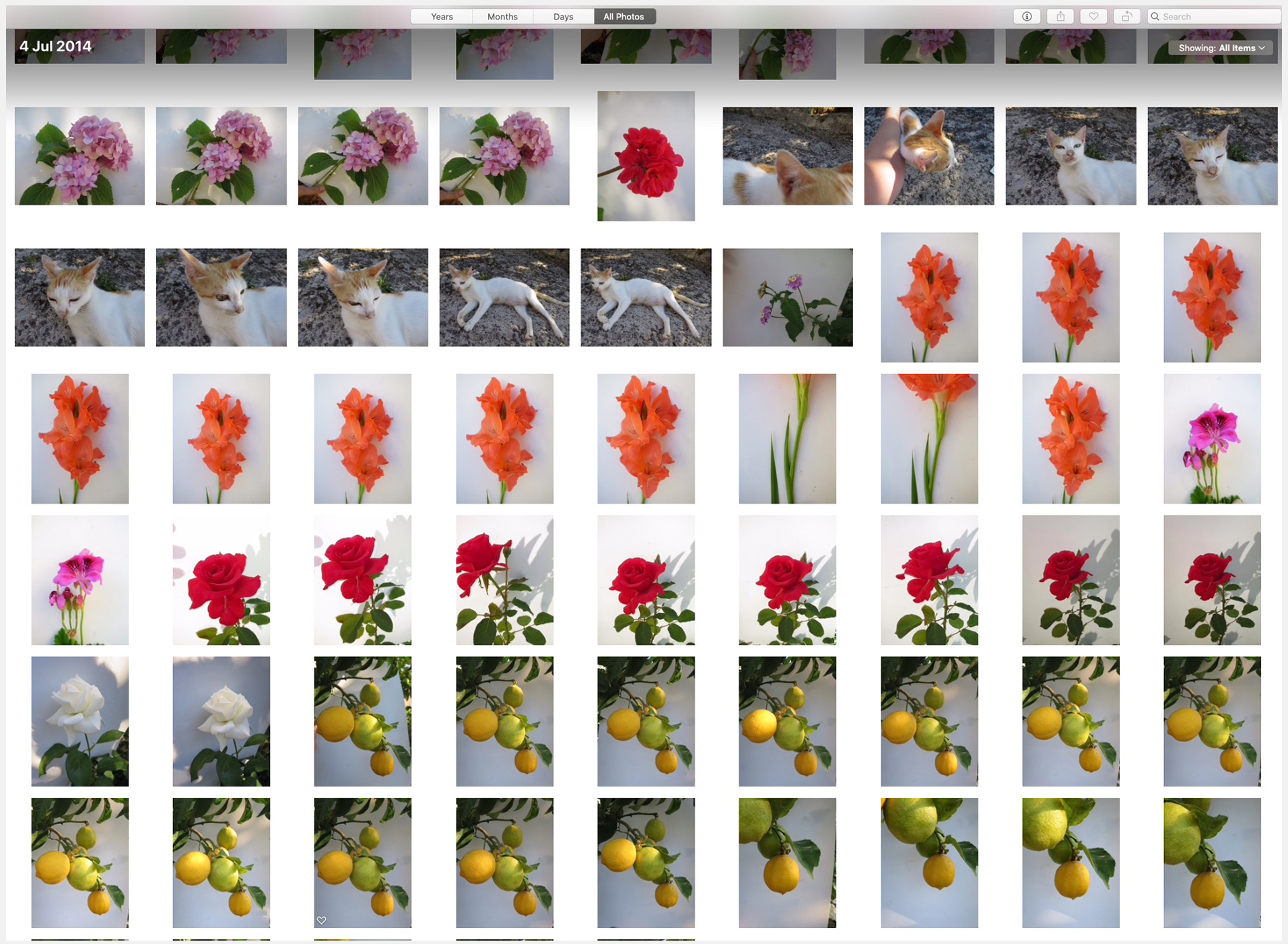 2.Honeymoon_Inspo curating a digital photo library