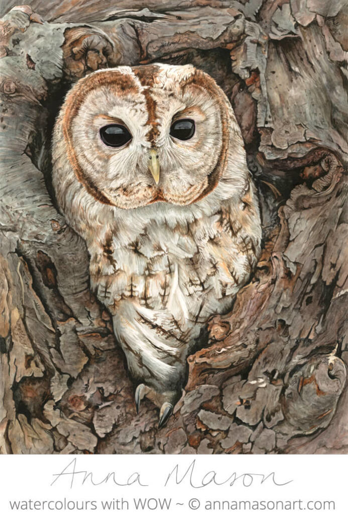 How to paint realistic shiny owl eyes - Nature Studio