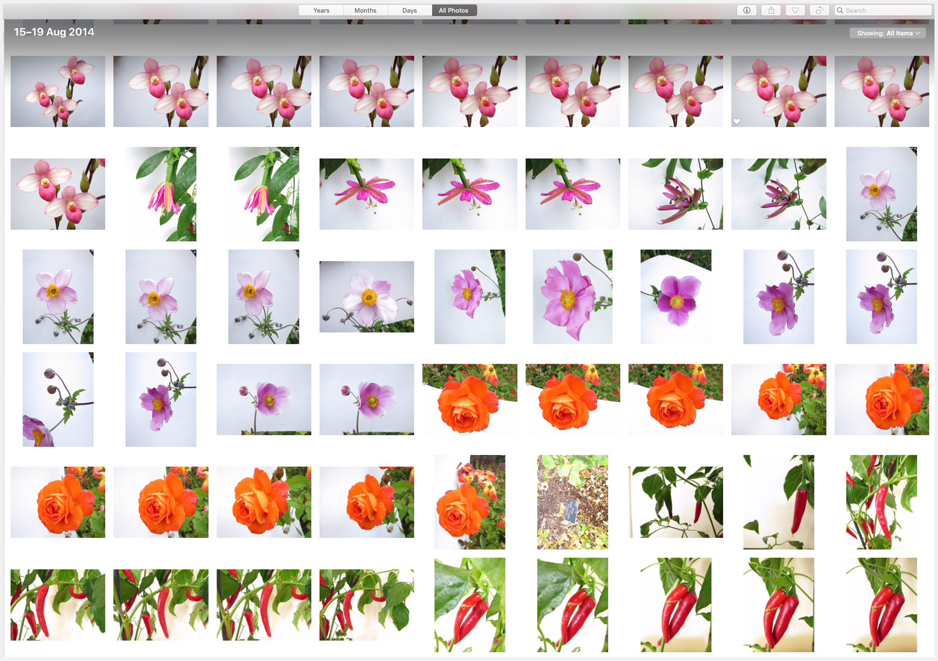4. Botanical_Subjects