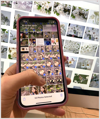 _5. SelectingImages