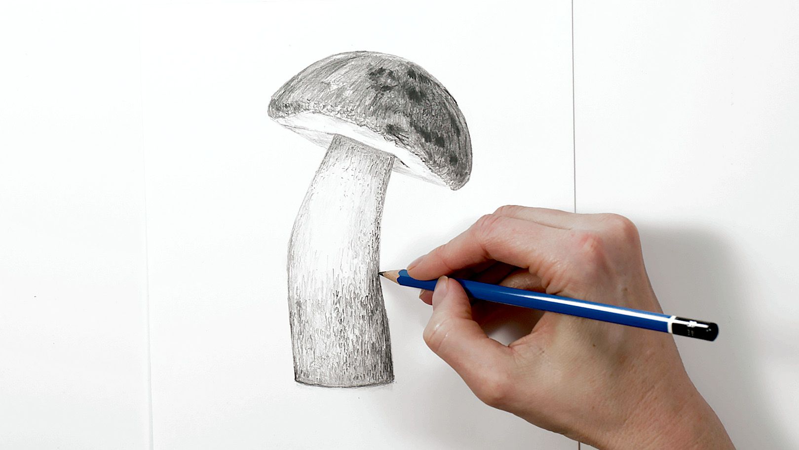 How to Draw a Mushroom  Easy Step by Step Tutorial - Art by Ro