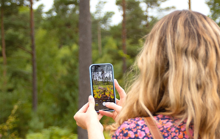 Anna Photographing