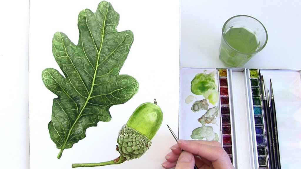 How-to-paint-a-realistic-leaf-in-watercolour