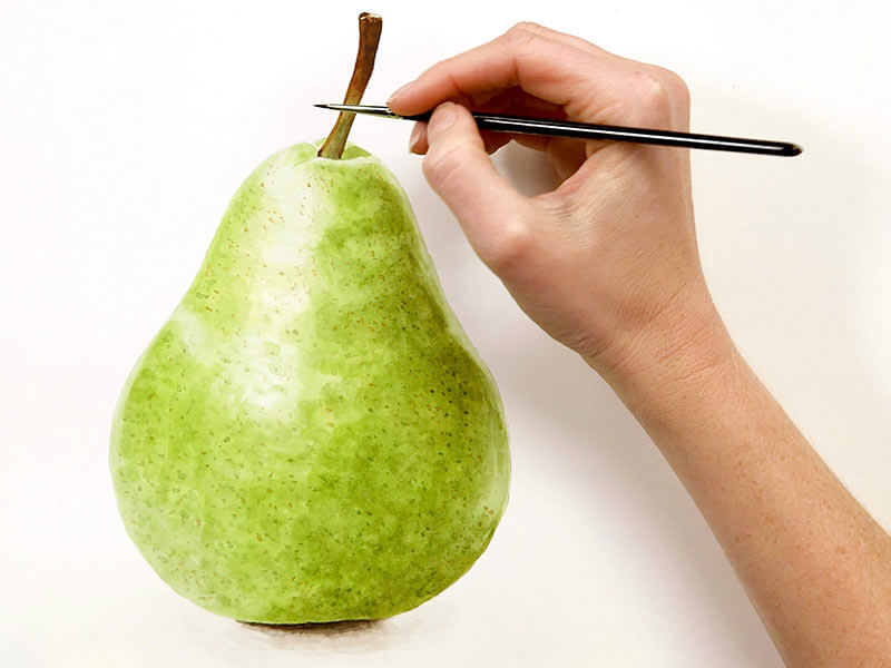 NS-freeclass-pear NS-freeclass-pear