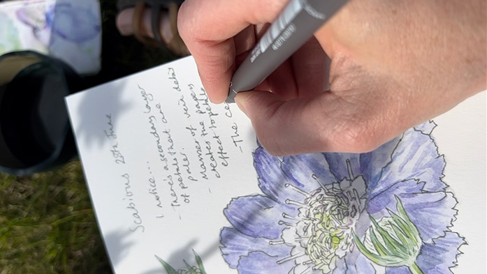 Nature Journaling