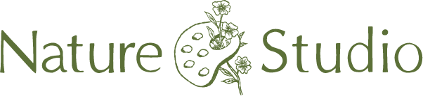 Nature Studio logo Nature Studio logo