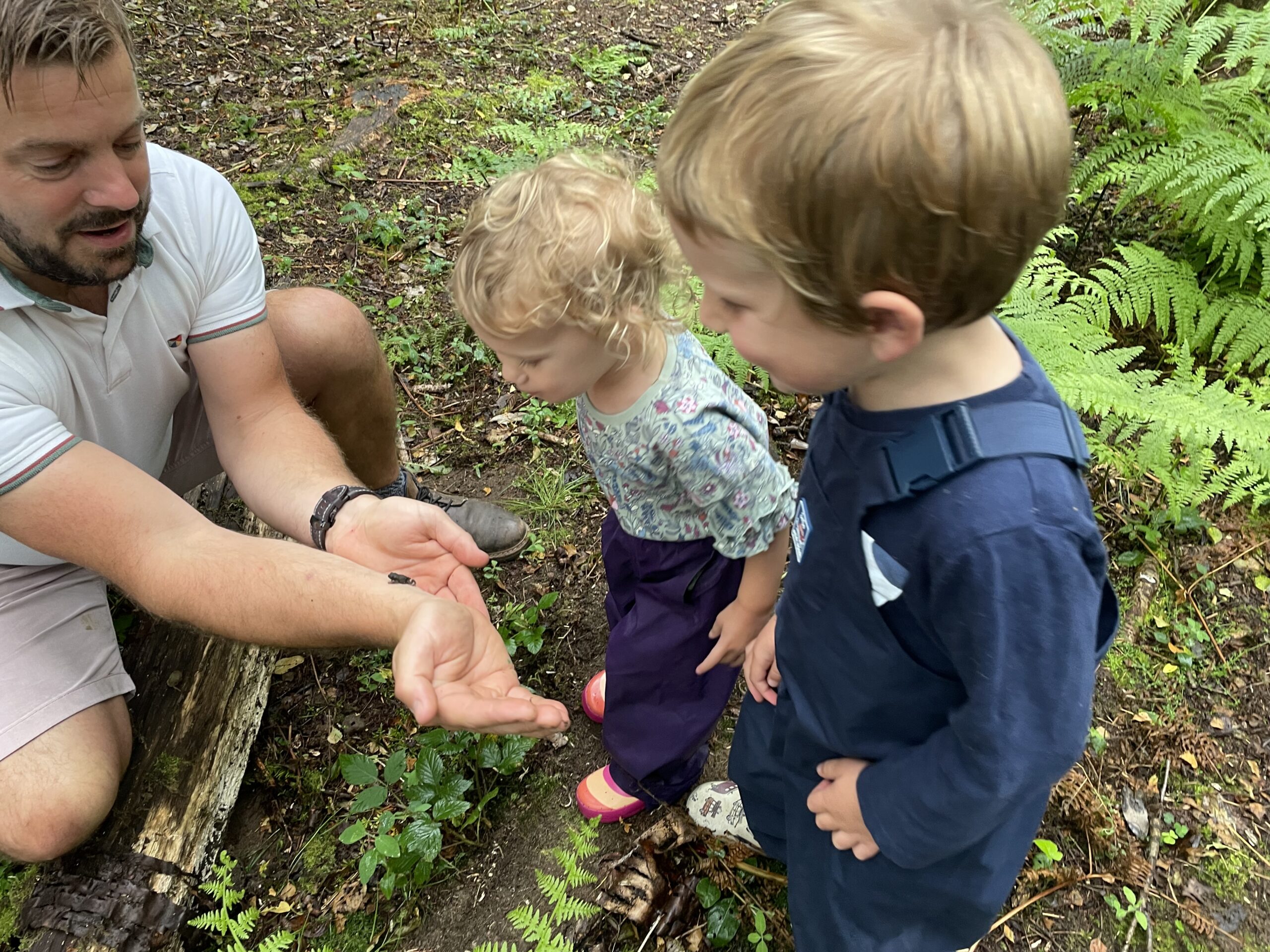 Phil looking at a minibeast with the kids Phil looking at a minibeast with the kids
