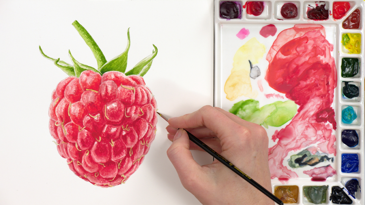How to paint a raspberry Nature Studio