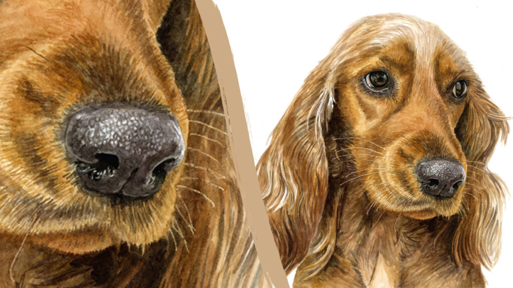 Paint a dog nose in watercolor