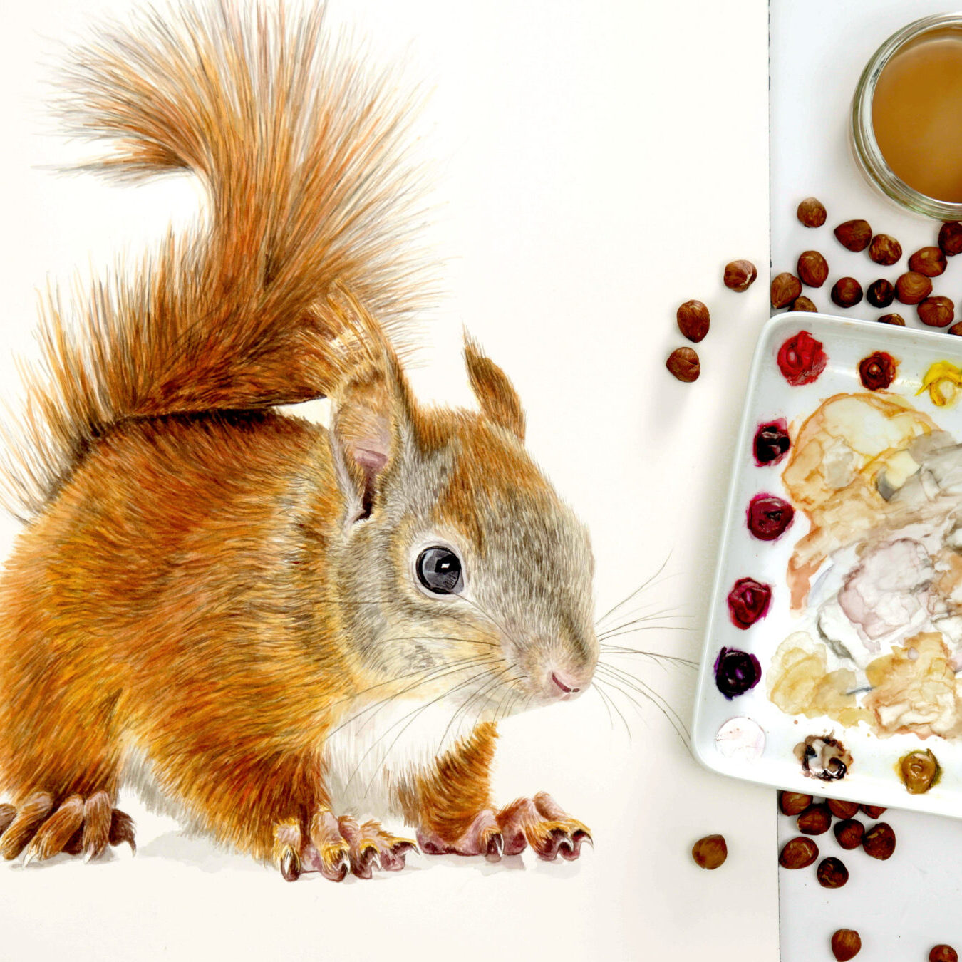 A121_Squirrel_Thumbnail-4-scaled-square-