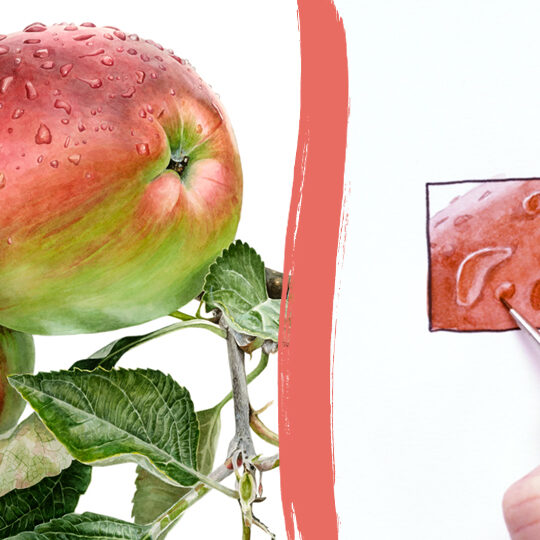 Apple_Raindrops_FI