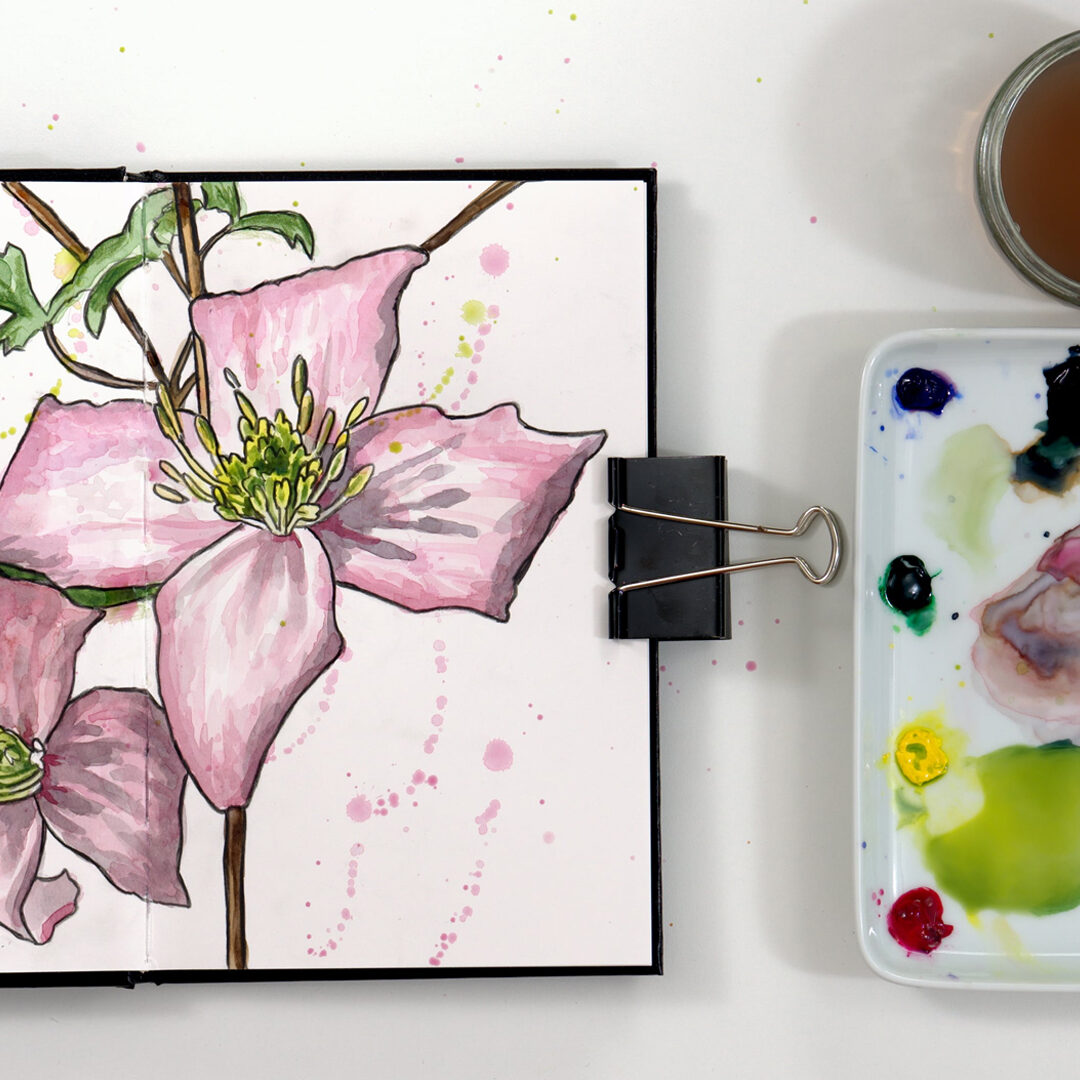 Clematis WP