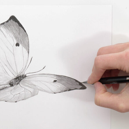You Tube - Pencil Butterfly