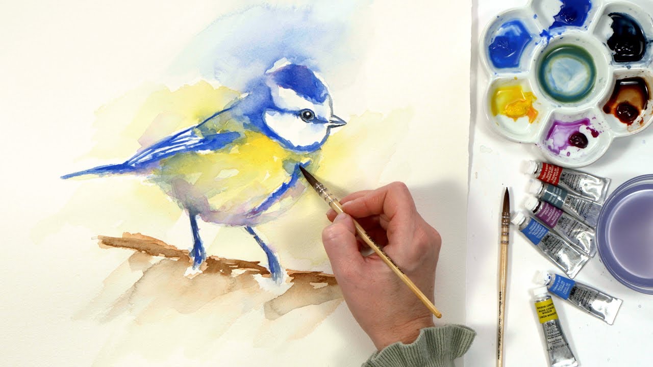 Watercolor bird tutorial [loose style] Nature Studio